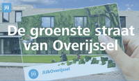 De groenste straat van Overijssel