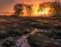 Afbeelding Wierdense veld bij zonsondergang