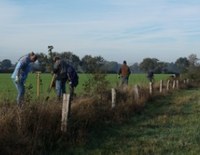 mensen die bomen aan het planten zijn